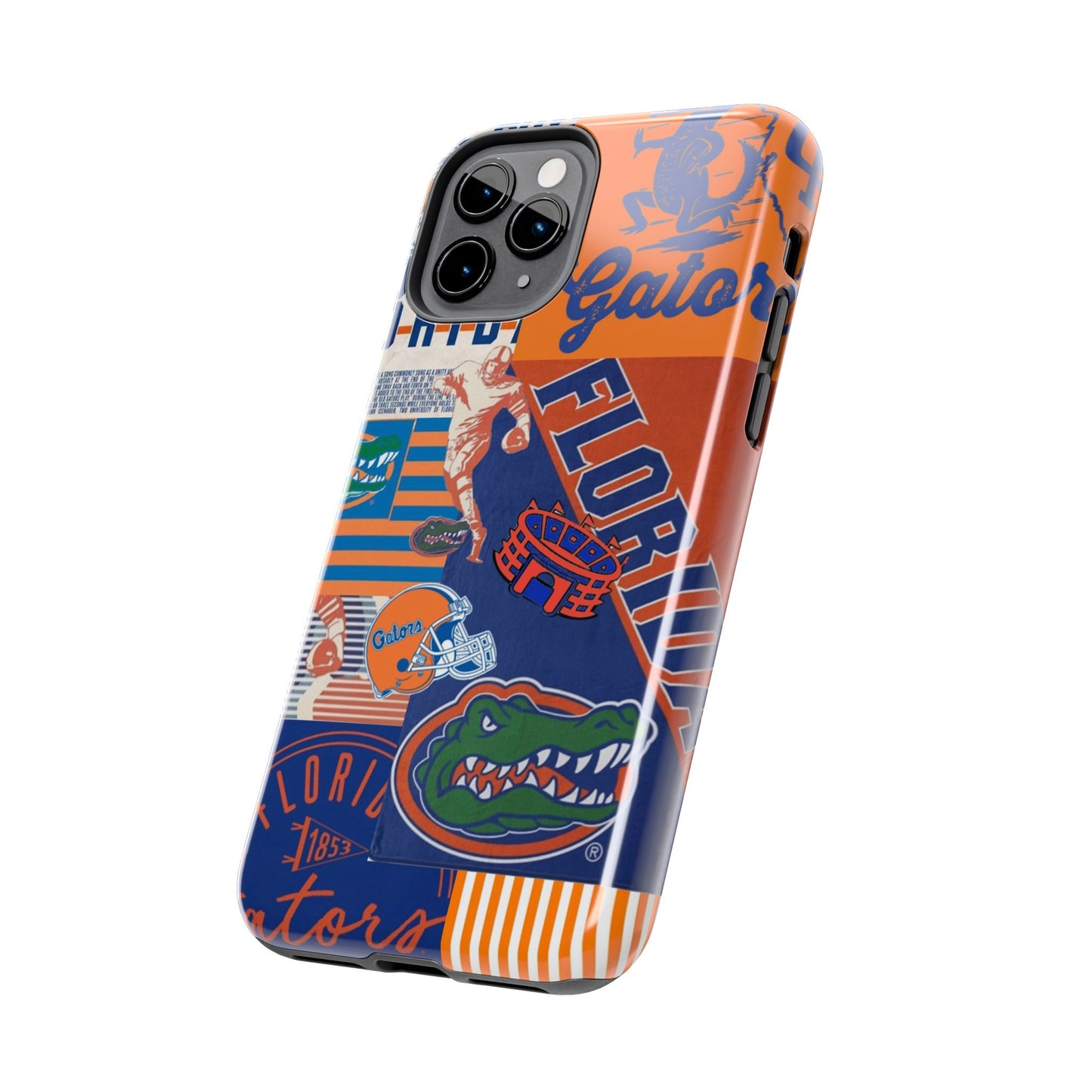 Go Gators Case