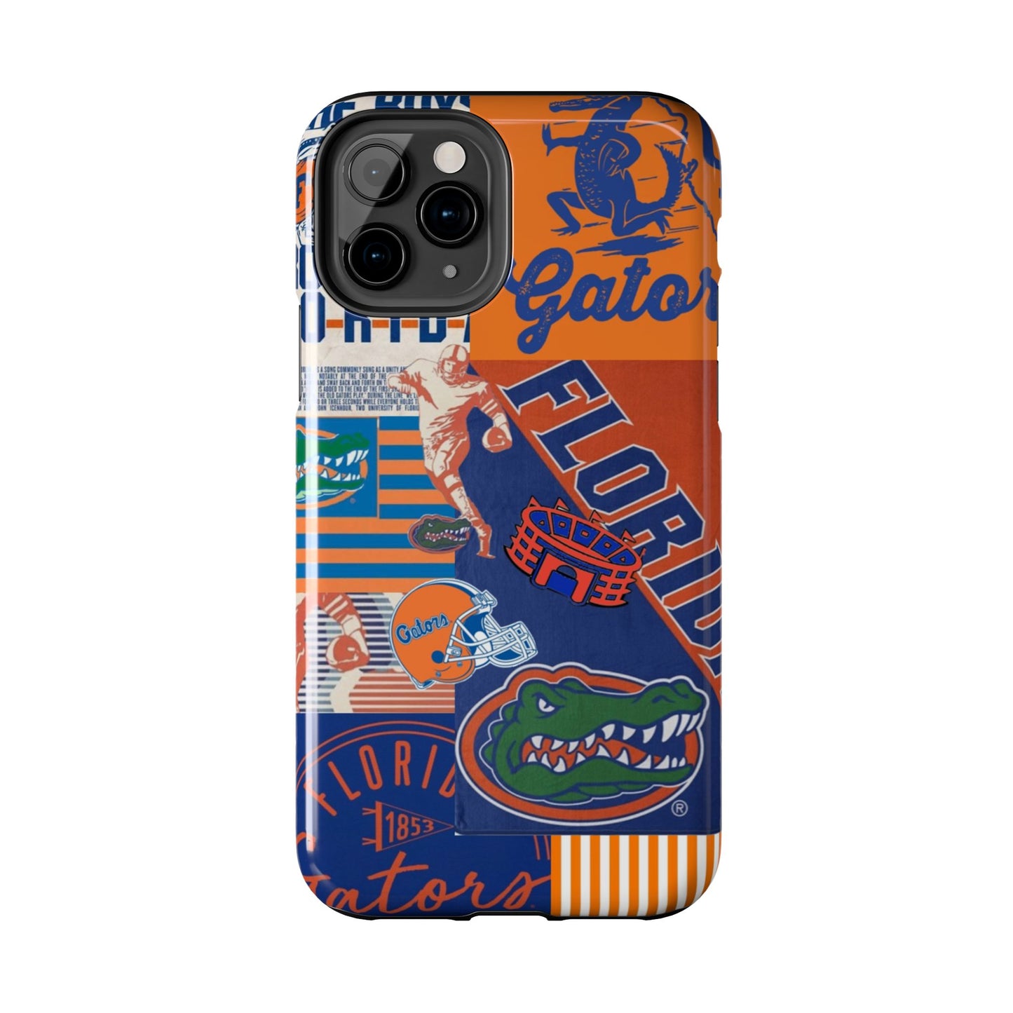 Go Gators Case